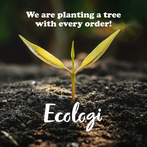 We are planting a tree for every order of our sustainable socks!