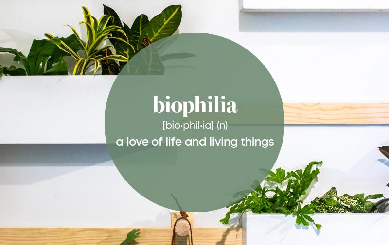 Biophilic Design Trend. Blog Article by Alisa Textile Home Decor