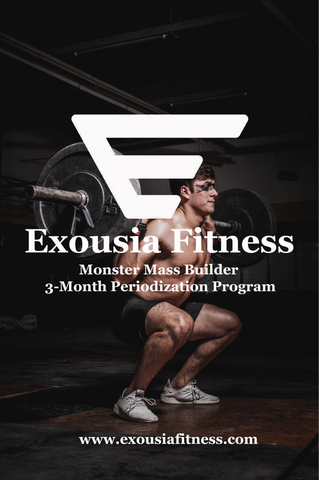 Exousia Fitness Periodization 3 month program