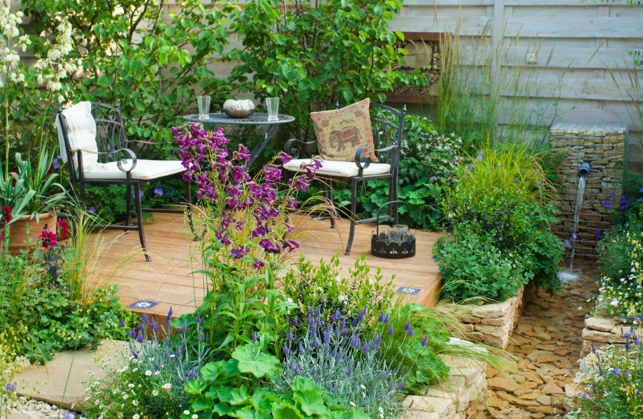 plant-filled-courtyard