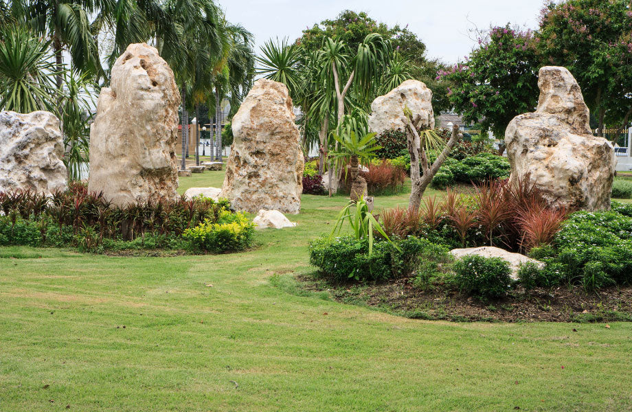 rocks-used-artisitcally-around-the-yard