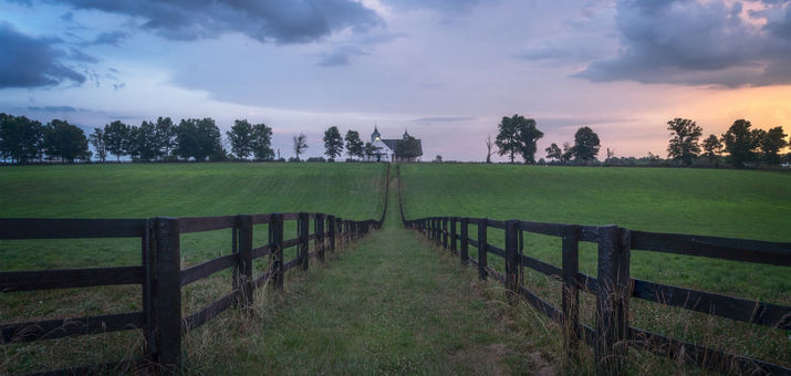 Benefits of Overseeding with Kentucky Bluegrass