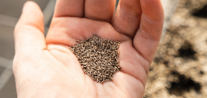 Factors to Consider when Calculating Grass Seed per Acre