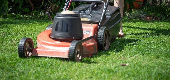 Monitoring Growth And Caring For The Grass Regularly