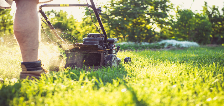 Grass First Mower