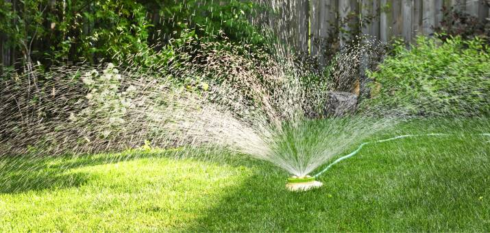 sprinkler for grass