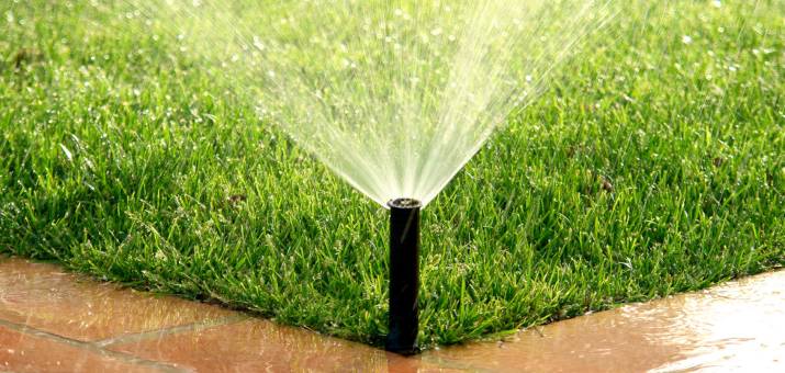 sprinkler watering grass