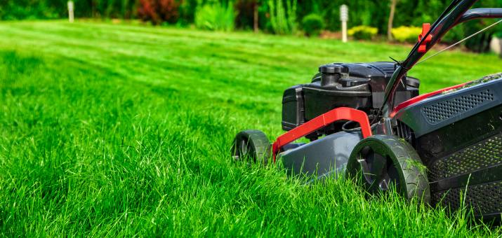 tall gras with red lawn mower
