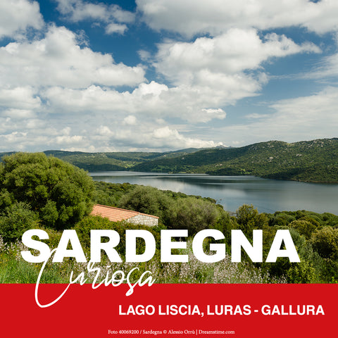 carosello_curioso_sardegna2