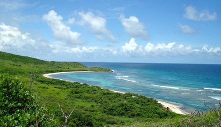 Jack and Issac Bay, St. Croix Hiking