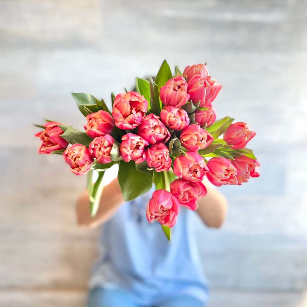Tulipanes Rosas. Tulipanes a domicilio con envío gratis – Florbox Flores a  domicilio