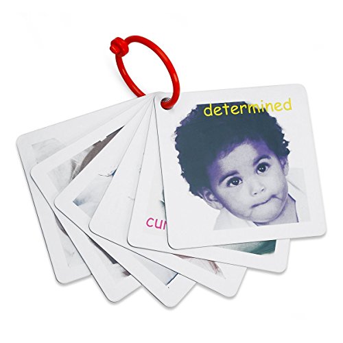 Buy Genius Baby Toys Clip Along High Contrast Flash Cards (Black, White and  Red) Online at Low Prices in India 