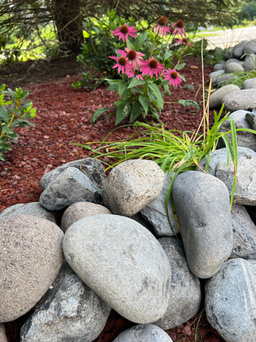 Gladstone Beach Pebbles