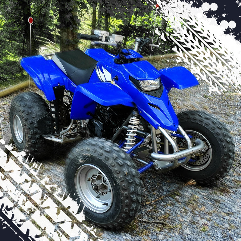 innovation lukke Klæbrig Something About ATV Yamaha Blaster 200 – Nicecnc