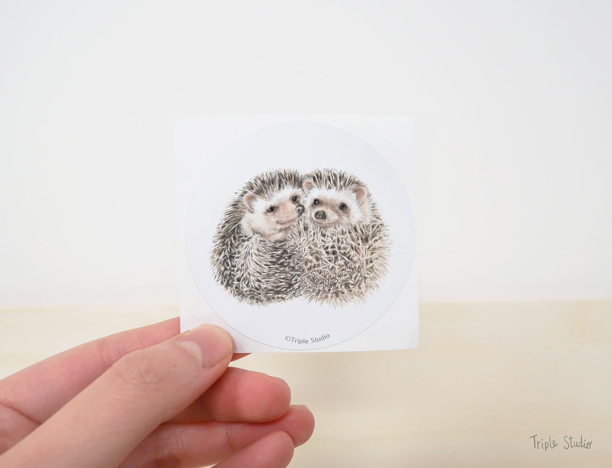Hedgehogs Hug Card