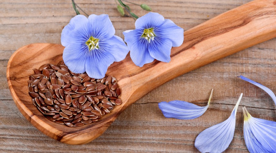 Herbal seeds and flowers on a spoon