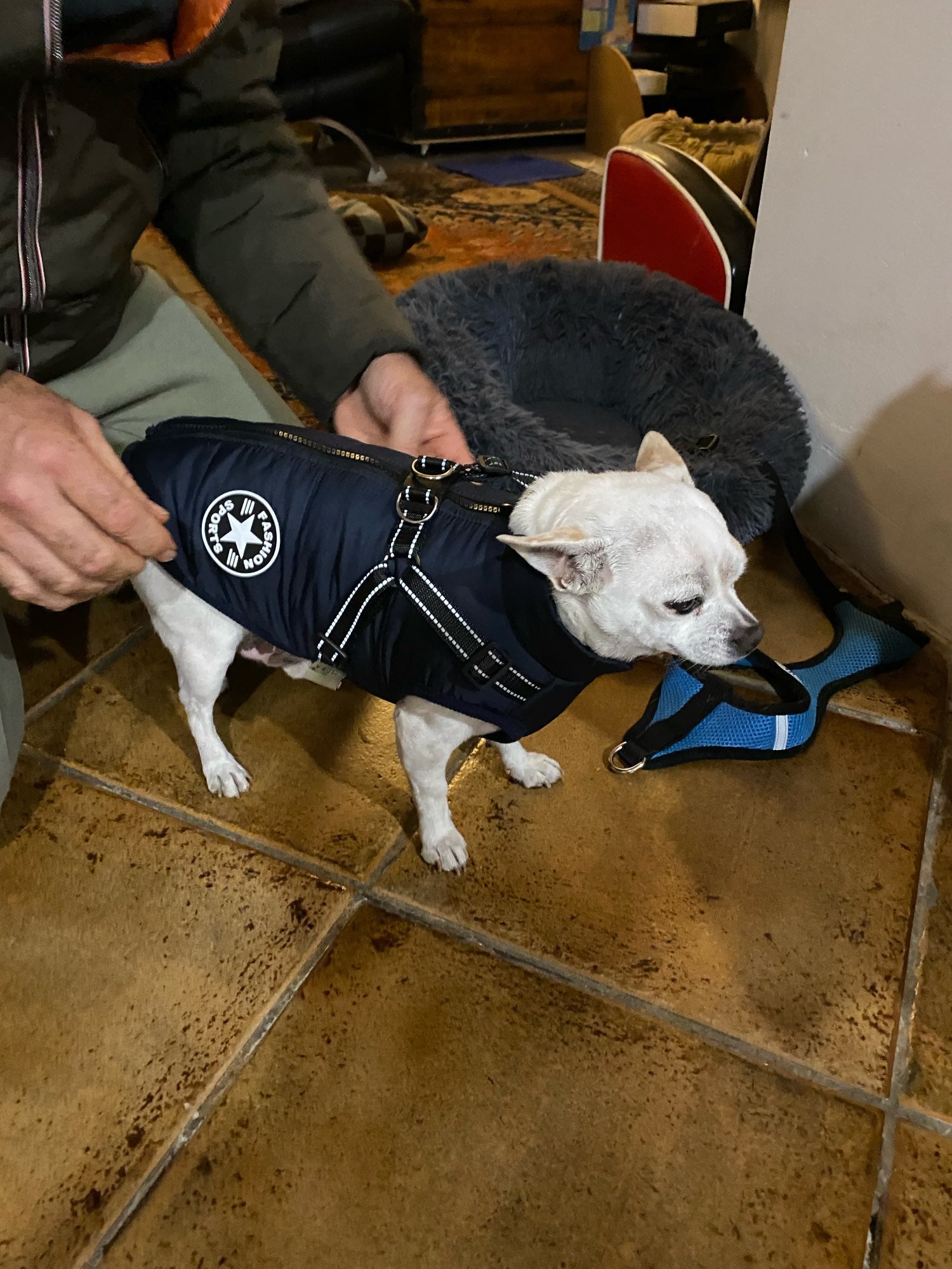 Pawcci Winter Dog Harness Vest