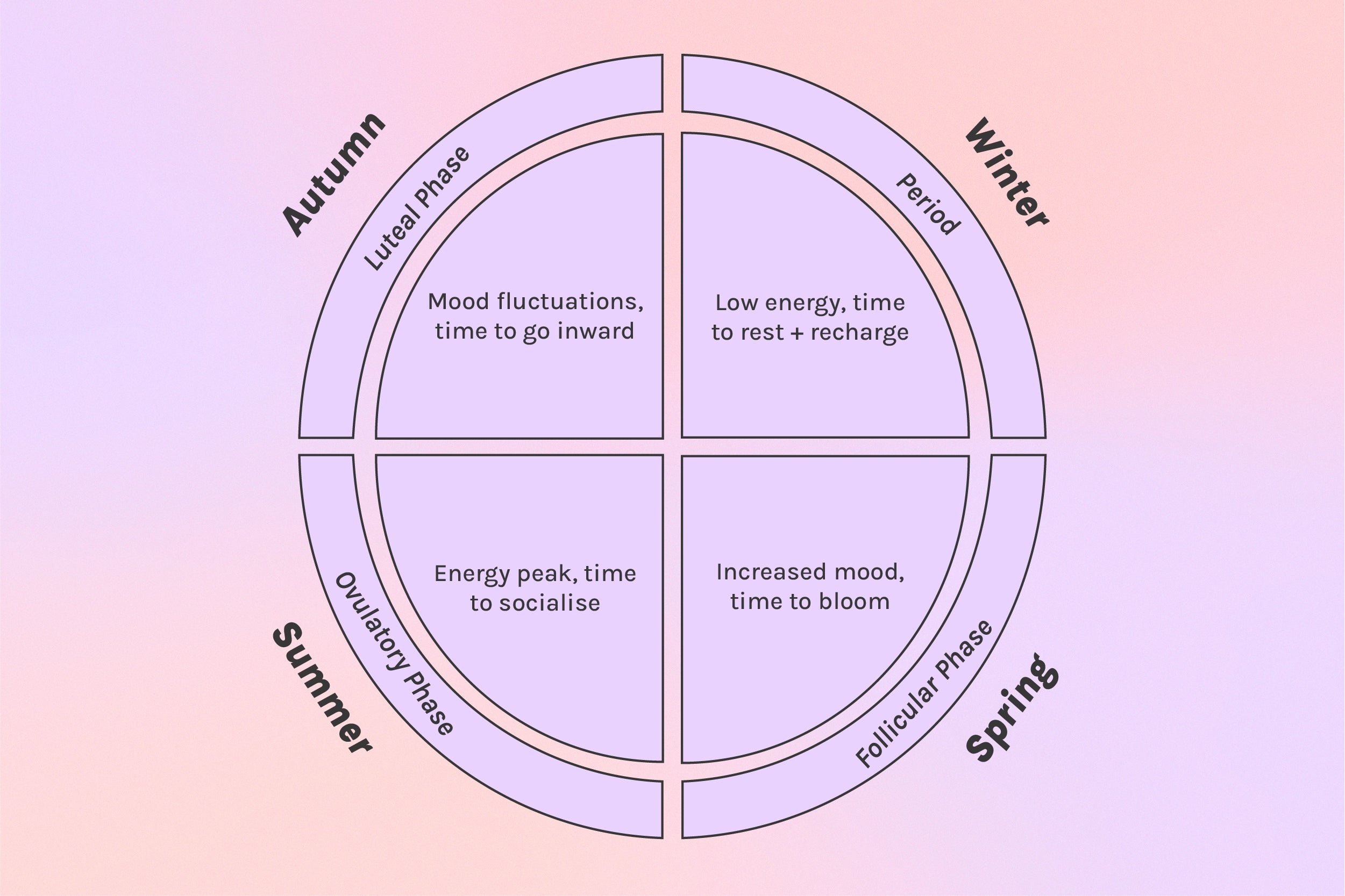 Menstruation: periods, pain relief and the four menstrual cycle stages