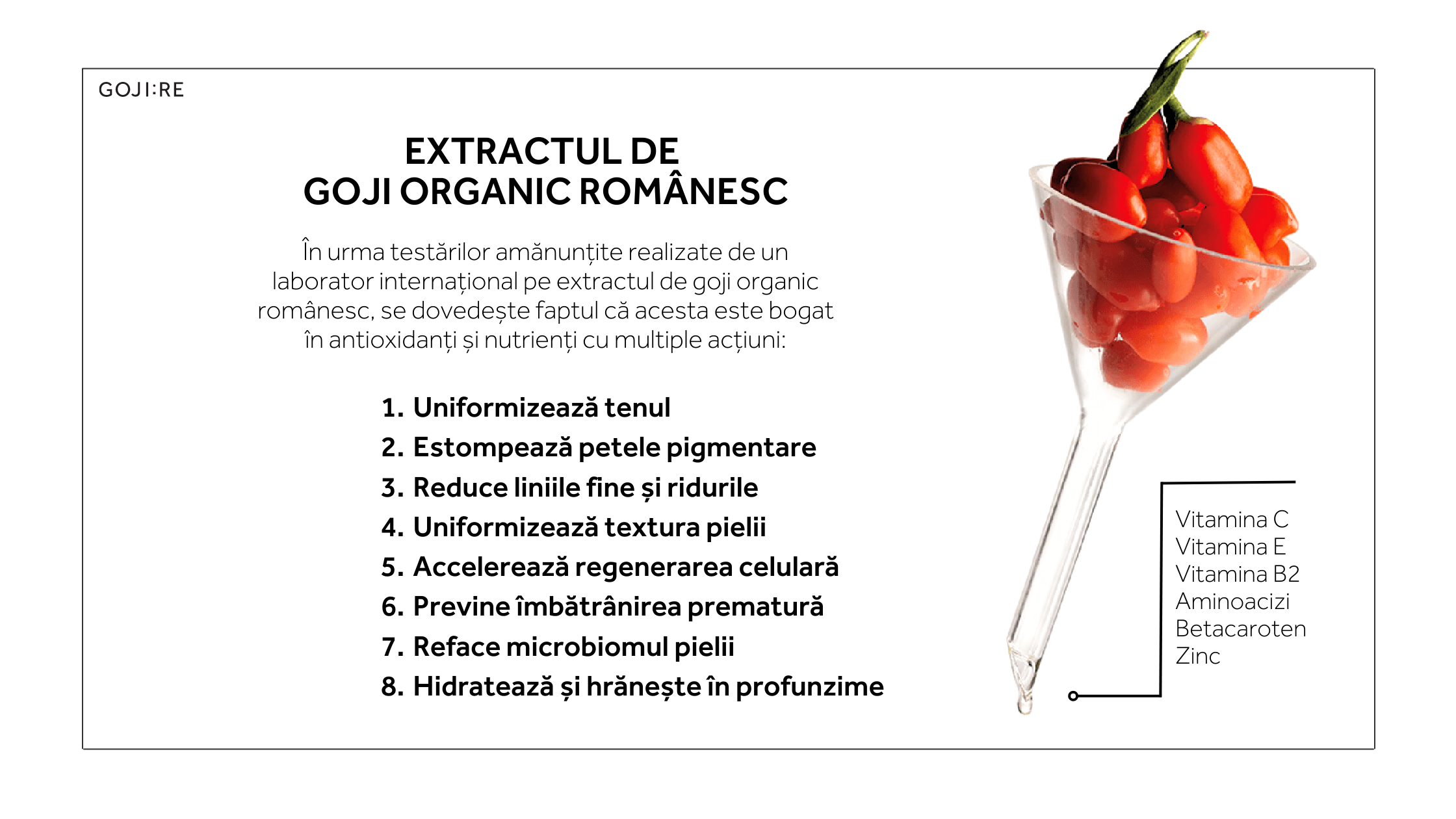 Extract de goji organic romanesc - GOJI REPUBLIC