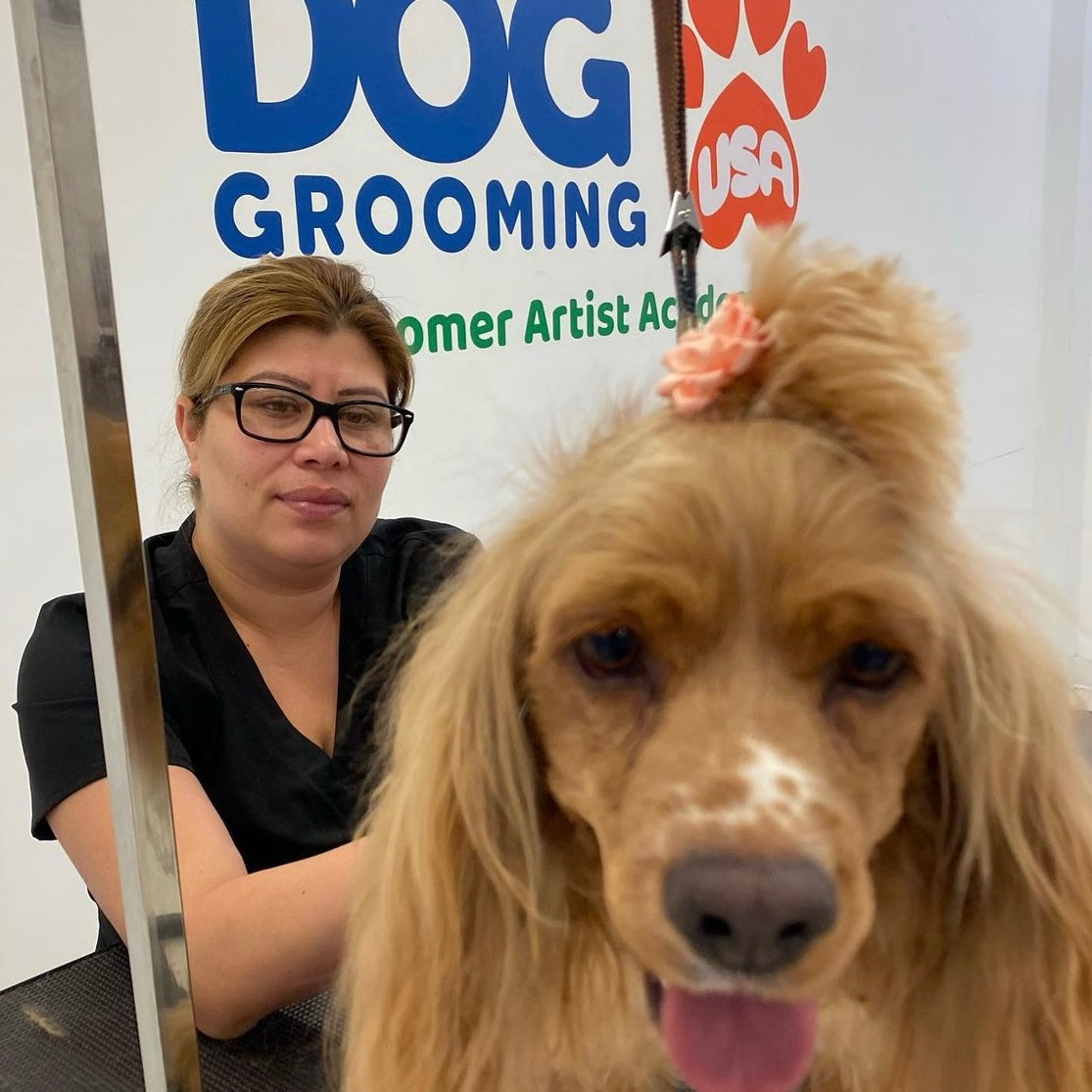 Best Pet Grooming School