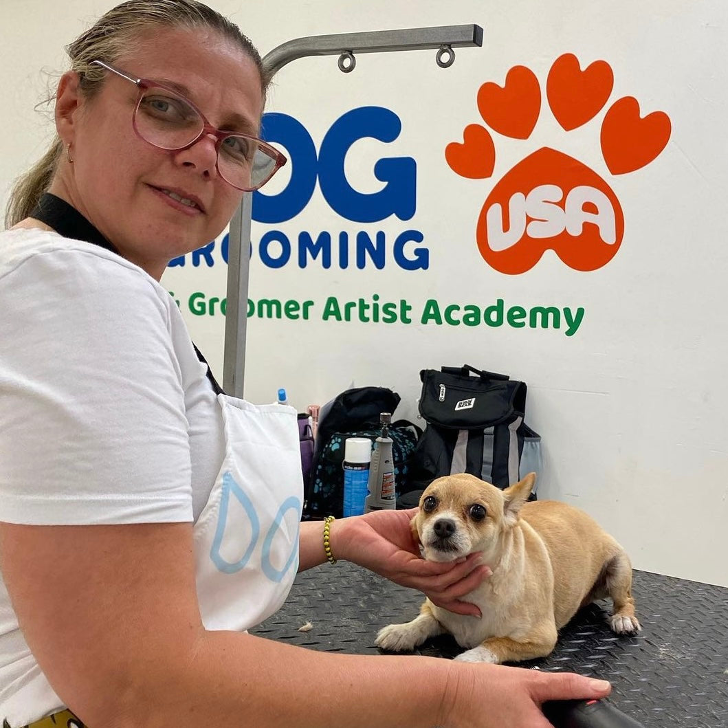 Florida Pet Grooming School