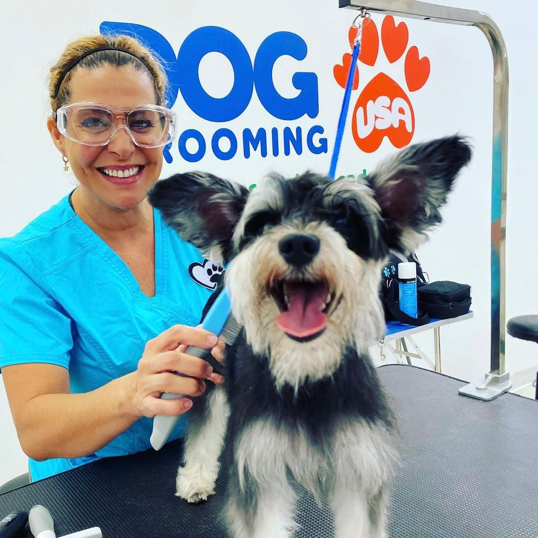 Best Cat Grooming School Miami