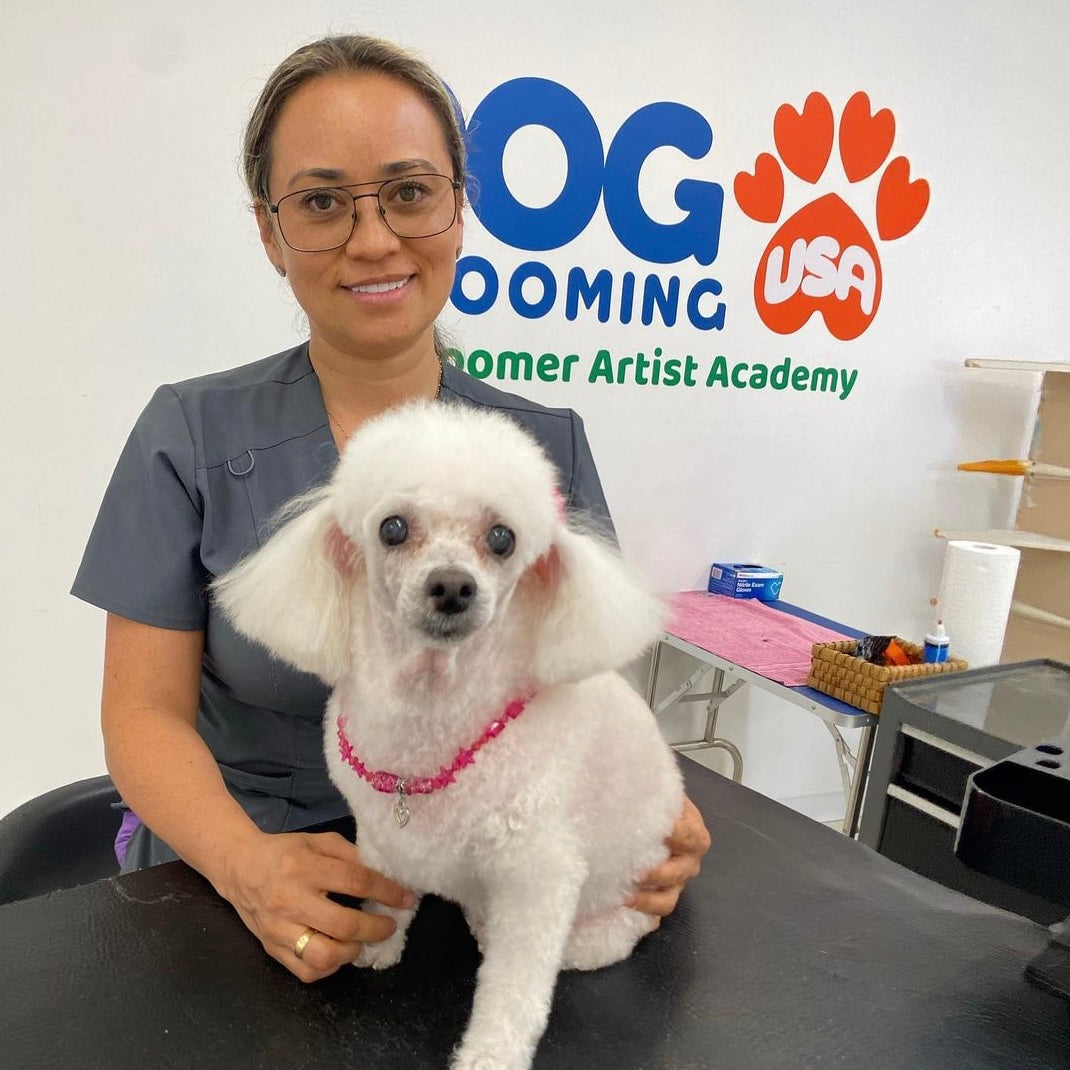 Dog Grooming USA and Groomer Artist Academy