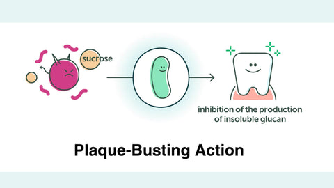 OraTicx oral probiotics: plaque busting power of OraTicx 