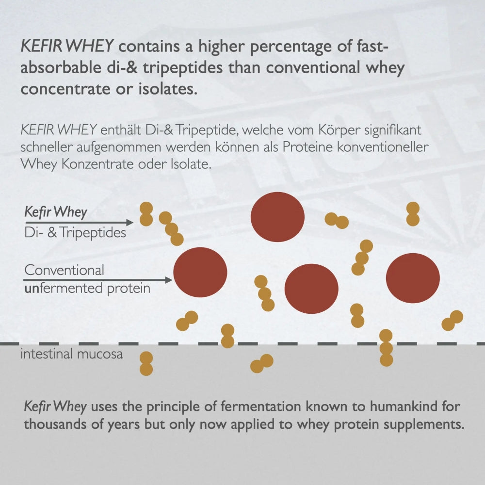
                  
                    Kefir Whey Isolate - Fermentert proteinpulver (750g)
                  
                