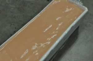 Soap in Mold