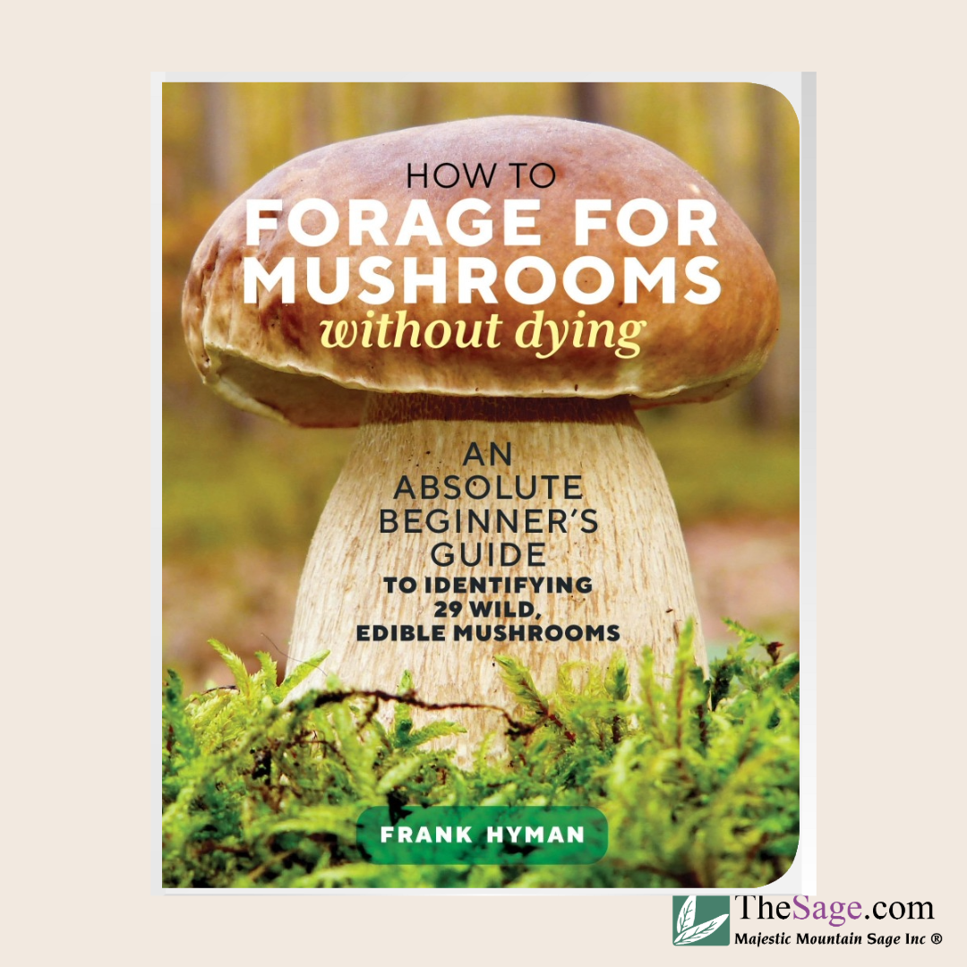 How to Forage for Mushrooms without Dying