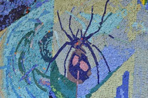 A spider mosaic.