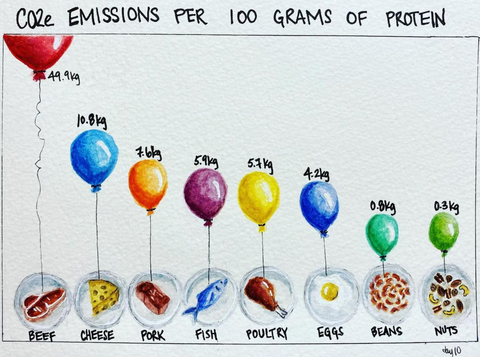 A chart of balloons tied to a plate of food at the bottom, with the caption "CO2e emissions per 100g of protein" at the top. From left to right: beef (49.9kg), cheese (10.8kg), pork (7.6kg), fish (5.9kg), poultry (5.7kg), eggs (4.2kg), beans (0.8kg), nuts (0.3kg).