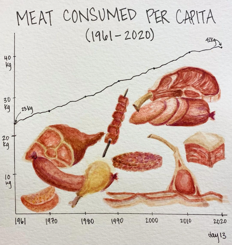 "Meat consumed per capita (1961-2020) above a line graph increasing from 23kg to 42kg. Below the line are various red and pink meats.