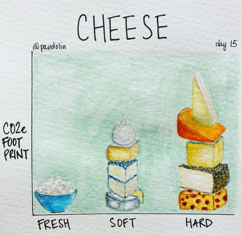 "Cheese" above a graph of stacked cheeses. The Y-axis is "CO2e foot print" and from left to right, it shows ascending piles of cheese: fresh, soft, hard.