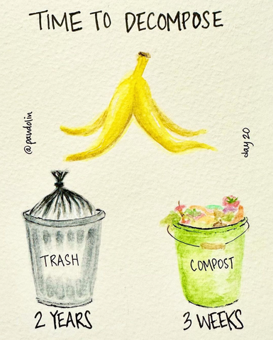 "Time to decompose" with a banana peel above a trash can: 2 years, and compost: 3 weeks.