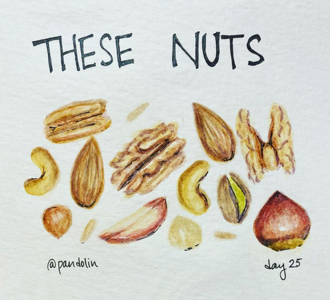 "These nuts" above a watercolour painting of various brown and yellow nuts.
