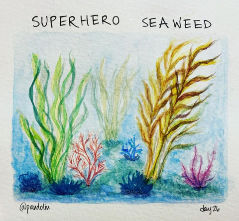 "Superhero seaweed" above a watercolour painting of green, yellow, purple, and red seaweed on a seabed.