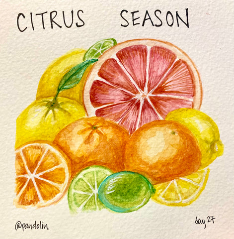 "Citrus Season" above a watercolour painting of grapefruits, oranges, lemons, and limes. The fruit looks juicy and delicious.