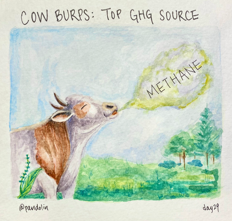 "Cow Burps: Top GHG Source" above a watercolour of a smiling cow, burping a green cloud with the word "methane" in it.