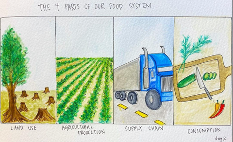 "The 4 Parts of our food system" above four panels of watercolour paintings: "land use" with a tree and stumps, "agricultural production" with rows of green vegetables, "supply chain" with a semi truck on a road, and "consumption" with a knife and cutting board with vegetables.