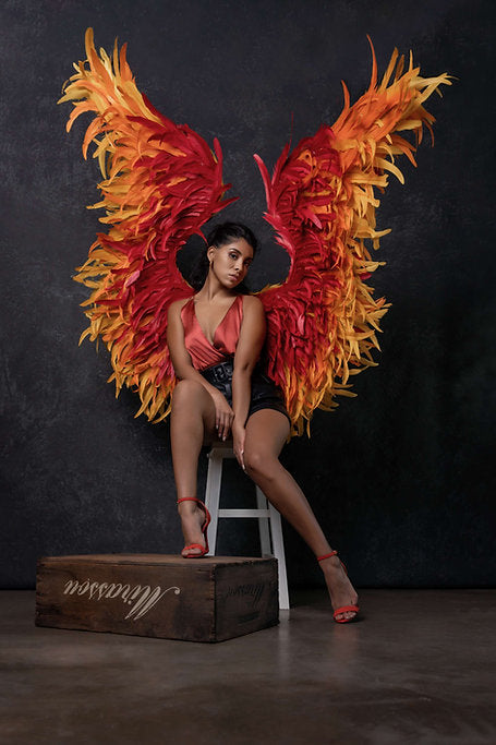 Pheonix Wings ™ with Adjustable Corset – Kayla Douglas Artistry