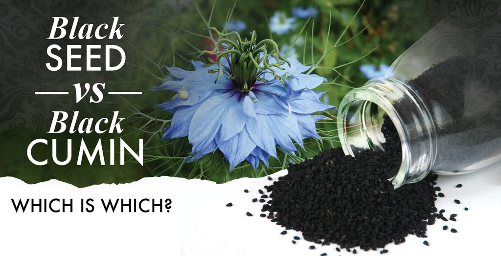 Black Seed Oil: Uses, Benefits, Side Effects, and Dosage