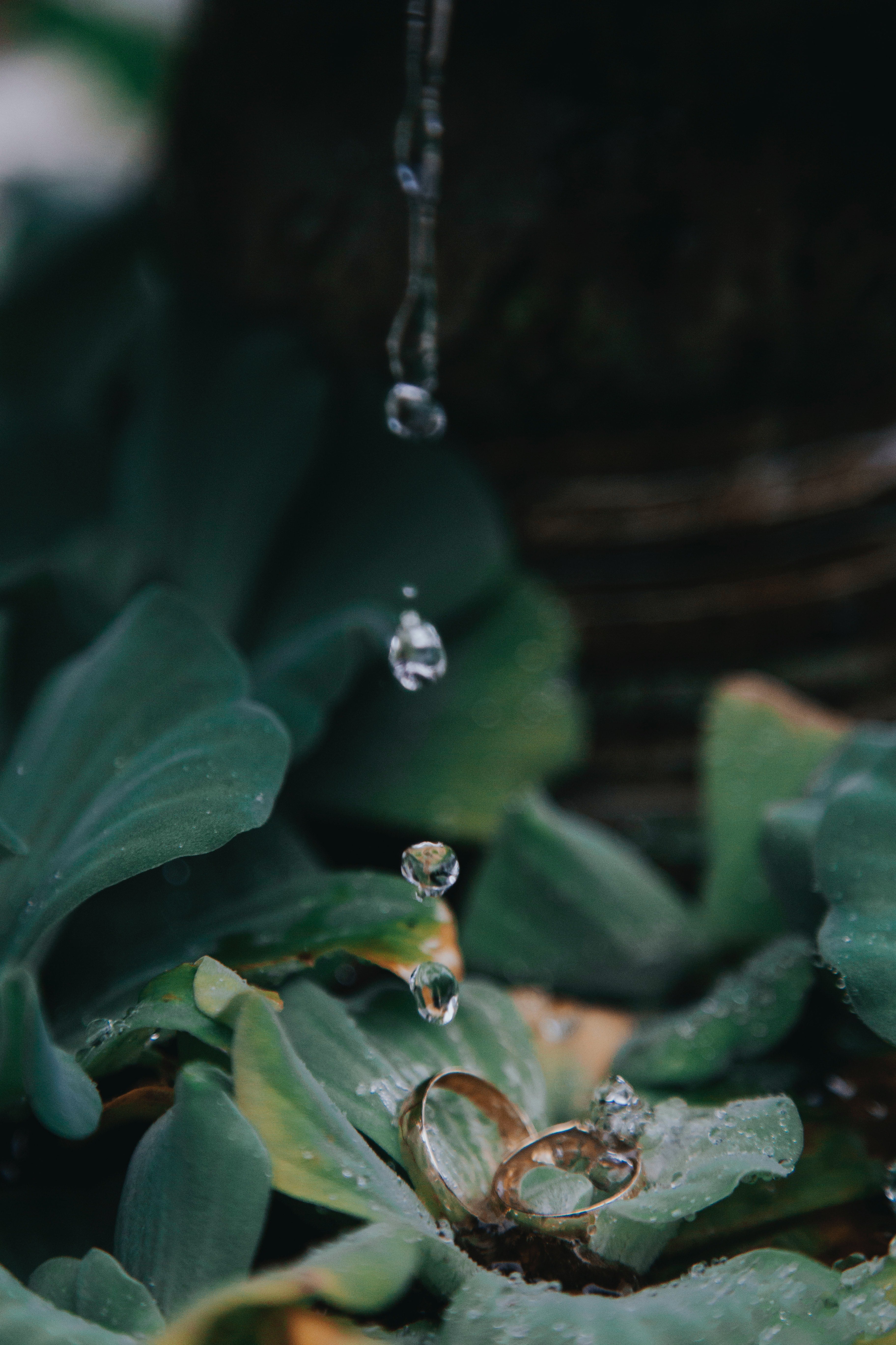 Couple rings amidst the green landscape