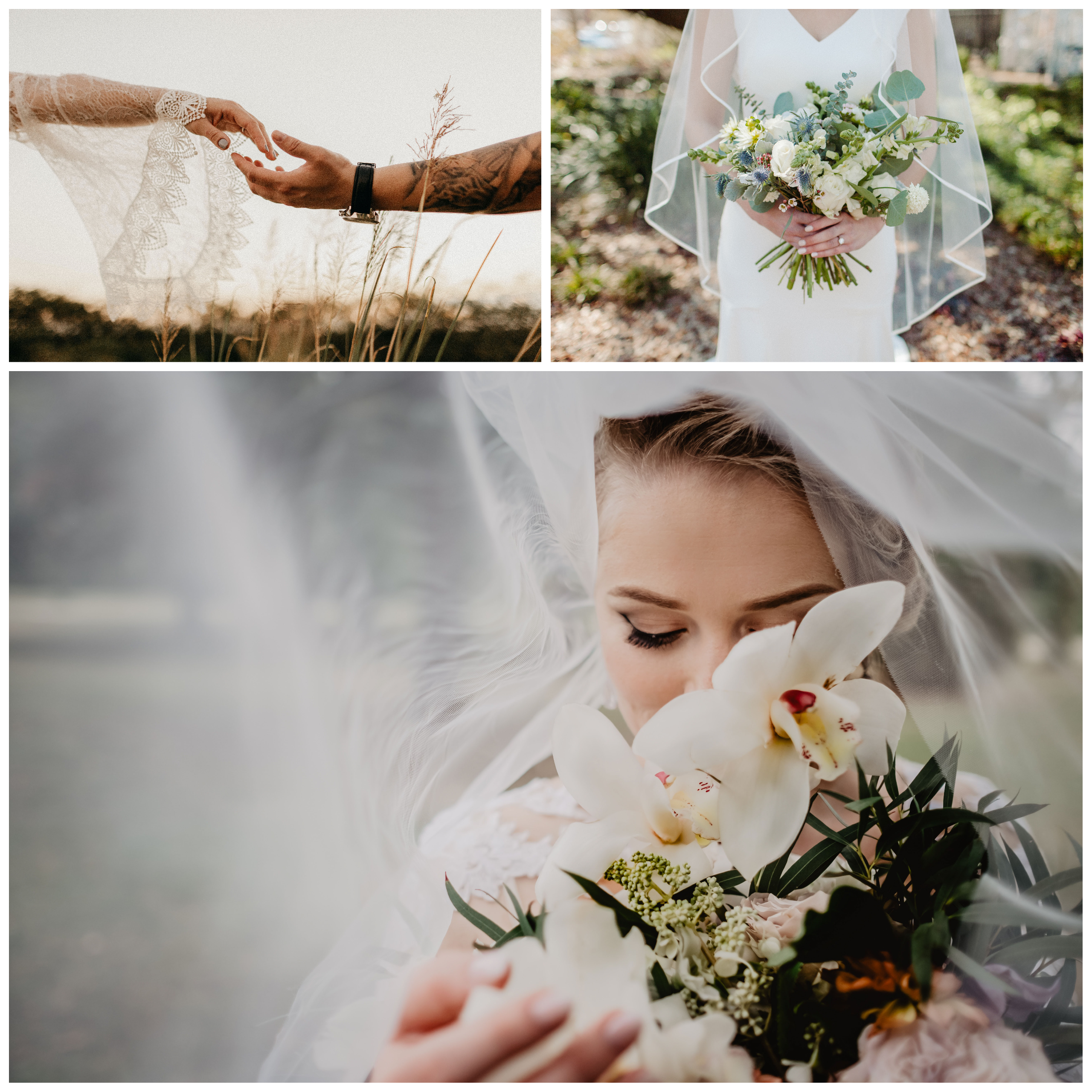 Picture 1: Photo by Jonathan Borba on Unsplash | Picture 2: Photo by Nikki Gibson on Unsplash | Picture 3: Photo by Victoria Priessnitz by Unsplash