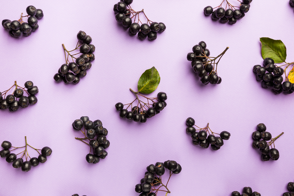 Stöd viktminskning med Aronia Berry