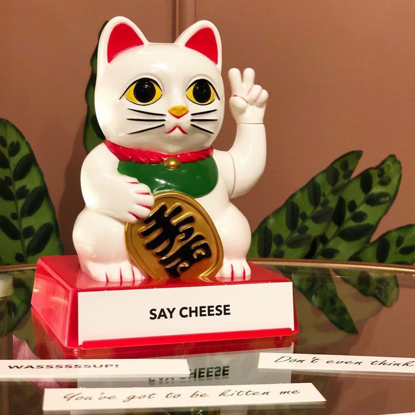 Cheeky Fortune Lucky Cat Display Stand - patchandbagel product image