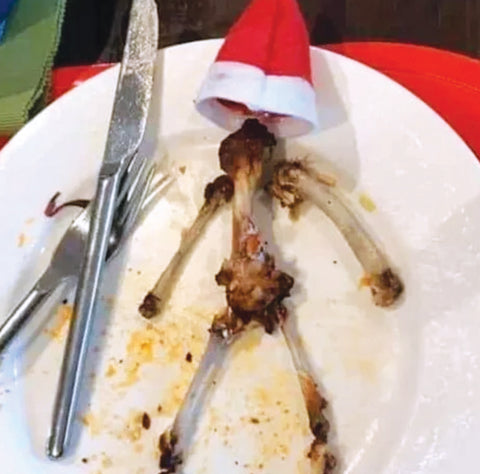 Eaten elf on plate only bones left