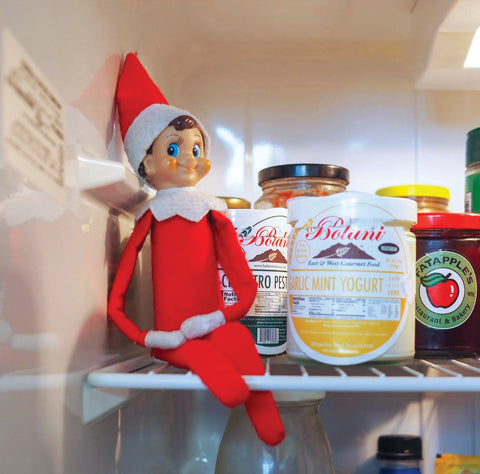 Elf in the refrigerator