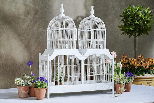 antique birdcage from violet grey